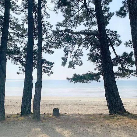 דירה Fouesnant, Pieds Dans L'eau, Vue Mer, Piscine Chauffee